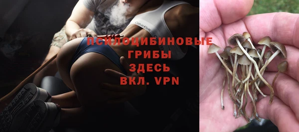 марки nbome Баксан
