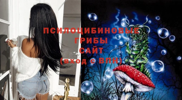 гашик Балахна