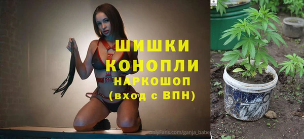 гашик Балахна