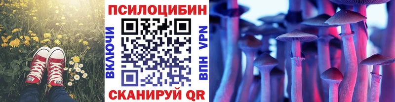 Псилоцибиновые грибы мухоморы Котельниково